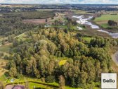  – Nt ekspertai be procentų - nuotraukos Nr. 14