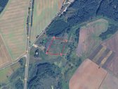 Parduodamas 1,35 Ha Žemės Ūkio Paskirties - nuotraukos Nr. 8