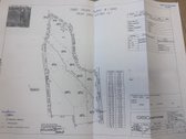Parduodamas Įvairios Paskirties Sklypų Masyvas - nuotraukos Nr. 3
