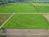 Rusnėje Parduodamas Erdvus 1.3044 Ha Žemės - nuotraukos Nr. 11