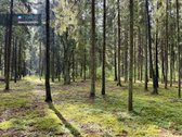 Sengirės Ir Ąžuolų Apsuptyje Prie Neries – - nuotraukos Nr. 11