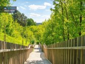 Išskirtinė Galimybė Įsigyti Erdvų 3 Kambarių - nuotraukos Nr. 43