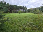 Geriausia, ką galima nupirkti už pinigus, – - nuotraukos Nr. 8