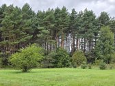 Geriausia, ką galima nupirkti už pinigus, – - nuotraukos Nr. 5