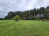 Geriausia, ką galima nupirkti už pinigus, – - nuotraukos Nr. 12