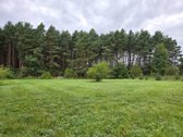 Geriausia, ką galima nupirkti už pinigus, – - nuotraukos Nr. 13