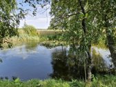 Parduodama sodyba randasi nuostabios gamtos - nuotraukos Nr. 7