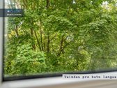 2 kambarių butas Pašilaičiuose! - nuotraukos Nr. 4