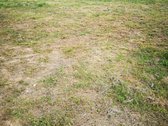 Parduodami Du Išskirtinėje Vietoje Esantys - nuotraukos Nr. 14