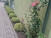 Parduodamas namas Tauragėje, šalia Upės Jūra - nuotraukos Nr. 6
