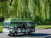 Erdvus Namų Valdos Sklypas Centrinėje - nuotraukos Nr. 25