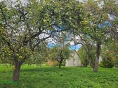 Parduodama geros būklės su daug ūkinių - nuotraukos Nr. 6