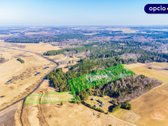 Parduodamas unikalus sklypas su mišku ir - nuotraukos Nr. 5