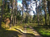 Parduodamas l.gražus 7.64 ha žemės sklypas su - nuotraukos Nr. 6