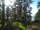 Parduodamas l.gražus 7.64 ha žemės sklypas su - nuotraukos Nr. 7