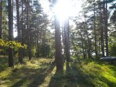 Parduodamas l.gražus 7.64 ha žemės sklypas su - nuotraukos Nr. 2