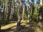 Parduodamas l.gražus 7.64 ha žemės sklypas su - nuotraukos Nr. 4