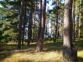 Parduodamas l.gražus 7.64 ha žemės sklypas su - nuotraukos Nr. 3