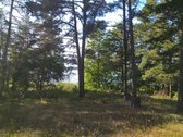 Parduodamas l.gražus 7.64 ha žemės sklypas su - nuotraukos Nr. 5