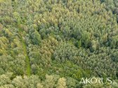 Verta Žinoti - nuotraukos Nr. 8