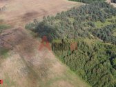 Parduodamas 3 ha rekreacinės paskirties - nuotraukos Nr. 5