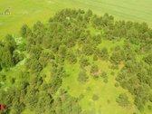 Parduodamas 3 ha rekreacinės paskirties - nuotraukos Nr. 7
