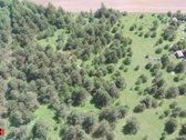 Parduodamas 3 ha rekreacinės paskirties - nuotraukos Nr. 11