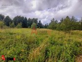 Parduodamas 3 ha rekreacinės paskirties - nuotraukos Nr. 17