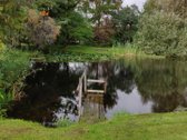 6 arų sodo sklypas be statinių sodų - nuotraukos Nr. 5