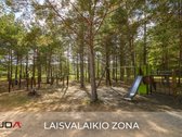 Nuostabioje vietoje, tarp Neries ir Drąseikių - nuotraukos Nr. 6