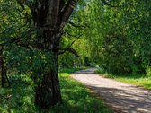 Valakampiai – tai Vilniaus vieta, kur miesto - nuotraukos Nr. 18