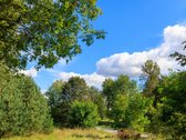 Valakampiai – tai Vilniaus vieta, kur miesto - nuotraukos Nr. 21