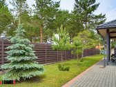 Parduodamas išskirtinis namas "Kalvių pakrantėje". - nuotraukos Nr. 8