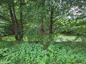Parduodami du sklypai su gyvenamuoju namu ir - nuotraukos Nr. 9