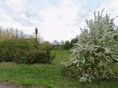 Parduodami du sklypai su gyvenamuoju namu ir - nuotraukos Nr. 5