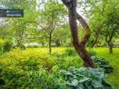 Gamtos Ramybė Ir Miesto Patogumai – 4,18 A - nuotraukos Nr. 3