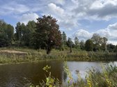 Uždaroje prestižinėje bendruomenėje - nuotraukos Nr. 13