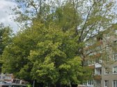 2 Kambarių Suremontuotas Butas Šalia Taikos - nuotraukos Nr. 23
