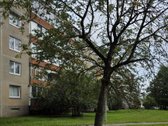 2 Kambarių Suremontuotas Butas Šalia Taikos - nuotraukos Nr. 24