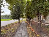 Parduodamas Erdvus Sklypas Su Namu Centrinėje - nuotraukos Nr. 15
