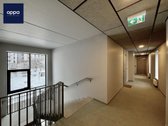Puikioje, ramioje vietoje, Naujininkuose, - nuotraukos Nr. 19
