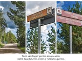 Parduodamas vieno aukšto gyvenamasis namas - nuotraukos Nr. 15