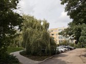 Parduodamas šviesus, saulėtas ir šiltas 3 - nuotraukos Nr. 24