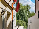 XVIII amžiaus Vilniaus istorijos dalimi - nuotraukos Nr. 27