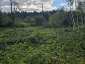 Parduodamas 6 arų sklypas Akmeniškėse, - nuotraukos Nr. 5