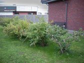 Išskirtinė Galimybė Įsigyti Kokybiškus Šeimos - nuotraukos Nr. 52