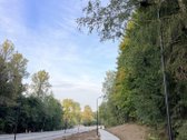 Erdvi Oazė Gamtos Apsuptyje – Atskiras - nuotraukos Nr. 37