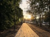 Erdvi Oazė Gamtos Apsuptyje – Atskiras - nuotraukos Nr. 39