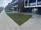 Naujos įrengtos komercinės patalpos “vyšnios - nuotraukos Nr. 5