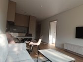 Išnuomojamas naujai įrengtas butas "Pušų - nuotraukos Nr. 3